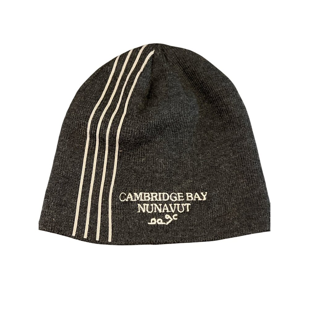 Pedigree Toboggan Beanie Cambridge Bay Nunavut Embroidery Gray Black NWOT